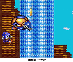 Save him from the wee turtles