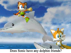 Sonic does not like the water