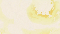 Another Jean Grey without her Scott