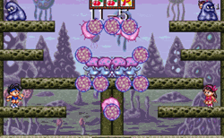 So many mushroom