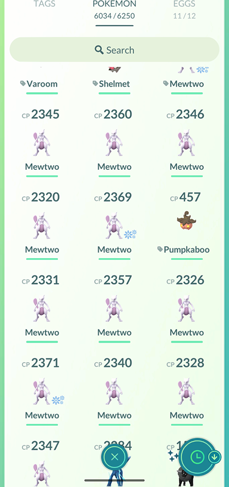 Mewthirteen